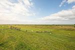 Altes Schäferhaus - Top-Hundeurlaub