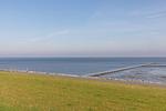 Diekkieker - Top-Hundeurlaub