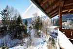 Zirbe - Top-Hundeurlaub