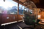 Zirbe - Top-Hundeurlaub