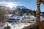 Zirbe - Top-Hundeurlaub