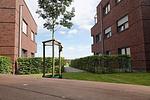 Fassade / Eingang - Lüttje Möw (5/6) - Top-Hundeurlaub