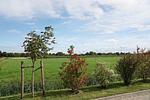 Gartenblick - Nordwind (7/4) - Top-Hundeurlaub