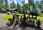 Hunde vor dem Ferienhaus im eingezäunten Garten in Schweden - Paws of Idhult - Top-Hundeurlaub
