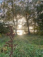 Seeblick - Top-Hundeurlaub