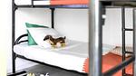 BedRoom - Ferienhaus für 13 Personen (150 m²) - Top-Hundeurlaub