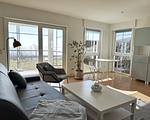 Wohnzimmer - Sassnitz Haus Victoria C 02 Molenkieker - Top-Hundeurlaub