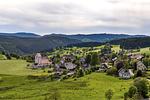 Appartment Black Forest Bollenhut - Top-Hundeurlaub
