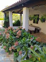 Haus Velikut App A2 - Top-Hundeurlaub