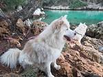 Haus Velikut   App A1 - Top-Hundeurlaub