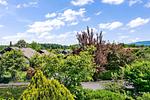 Landschaft - Ferienwohnung Aussichtsreich - Top-Hundeurlaub