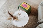 Dekoratives Detail - Bude 3 - Top-Hundeurlaub
