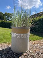 Burgerwiese - Top-Hundeurlaub