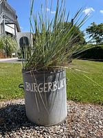 Burgerblick - Top-Hundeurlaub