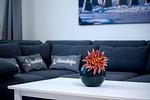 Dekoratives Detail - Wellenreiter - Top-Hundeurlaub