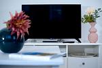 TV / Multimedia - Wellenreiter - Top-Hundeurlaub