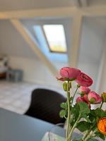Dekoratives Detail - Buschhaus Whg. 1 - Top-Hundeurlaub