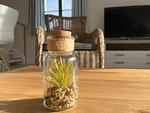 Dekoratives Detail - Wohnung 03-5 - Top-Hundeurlaub