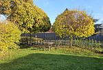 Garten - Ferienhaus Fröhlich - Top-Hundeurlaub