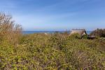 Blick auf das Meer mit bewachsenen Hügeln - Seeräuber - Top-Hundeurlaub