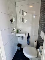 Cube Auszeit Nr. Acacia 44 - Top-Hundeurlaub