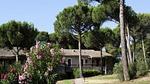 Ferienwohnung für 7 Personen (43 m²) in Saint-Raphaël - Top-Hundeurlaub