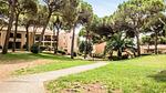 Ferienwohnung für 7 Personen (43 m²) in Saint-Raphaël - Top-Hundeurlaub