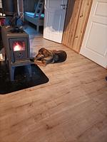 Wohnzimmer - Sodra Fullsjön - Top-Hundeurlaub