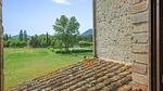 view-from-room - Ferienhaus für 16 Personen (400 m²) in Montone - Top-Hundeurlaub