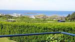 ViewSummer - Ferienhaus für 6 Personen (120 m²) - Top-Hundeurlaub