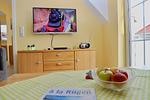TV / Multimedia - Ferienwohnung 5 - Top-Hundeurlaub