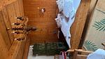Ferienwohnung für 5 Personen (80 m²) - Top-Hundeurlaub