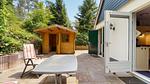 Außenseite - Ferienhaus für 8 Personen (100 m²) in Diever - Top-Hundeurlaub