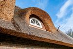Dekoratives Detail - Marie - Gartensuite - Top-Hundeurlaub
