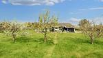 View - Ferienhaus für 7 Personen (90 m²) in Hadsund - Top-Hundeurlaub