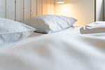 Dekoratives Detail - Ferienhaus 27 - Top-Hundeurlaub