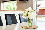 Ferienhaus Lolland 76 - Top-Hundeurlaub