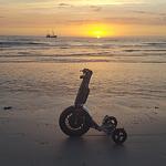 Dekoratives Detail - Pearl 7 Nordsee Park Dangast - Top-Hundeurlaub