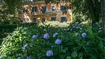 house - Ferienhaus für 17 Personen (390 m²) in Ronciglione - Top-Hundeurlaub