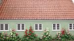 Outdoor - Ferienhaus für 7 Personen (69 m²) - Top-Hundeurlaub