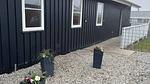 other - Ferienhaus für 6 Personen (82 m²) - Top-Hundeurlaub