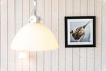 Dekoratives Detail - Ferienhaus  53 - Top-Hundeurlaub