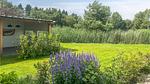 outside - Ferienhaus für 2 Personen (46 m²) in Tiendeveen - Top-Hundeurlaub