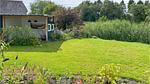 outside - Ferienhaus für 2 Personen (46 m²) in Tiendeveen - Top-Hundeurlaub