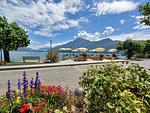 Romantico Loft Openspace - Top-Hundeurlaub