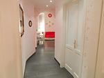 Dekoratives Detail - Rosso - Top-Hundeurlaub