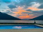 Pool - Rosso - Top-Hundeurlaub