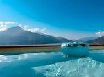 Pool - Rustico-Ferienhaus - Top-Hundeurlaub