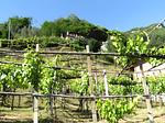 Landschaft - Rustico-Ferienhaus - Top-Hundeurlaub
