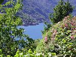 Landschaft - Musica Aperol - Top-Hundeurlaub